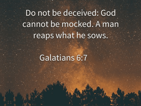 We Reap What We&nbsp;Sow