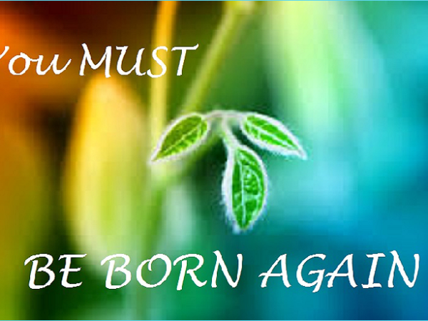 He Will Make All Things&nbsp;New