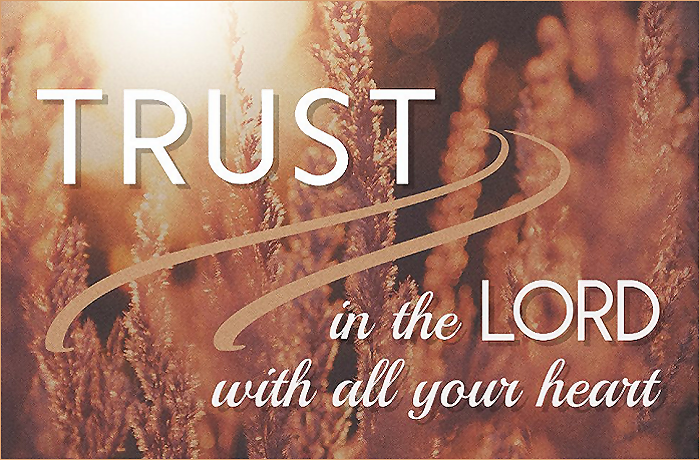 A serene background featuring soft, golden foliage with the text 'TRUST in the LORD with all your heart' artistically overlaid.
