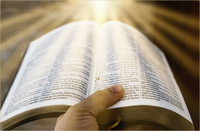 A hand holding an open book with pages containing text, illuminated by soft light rays.